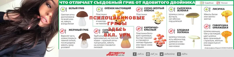 Названия наркотиков Карпинск АМФЕТАМИН  omg ссылка  БУТИРАТ  Кокаин  Канабис  Альфа ПВП 